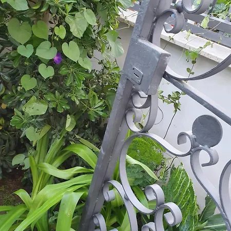 Hortus Apartman Róma