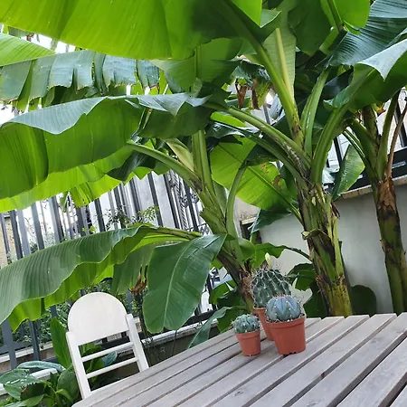 Διαμέρισμα Hortus *